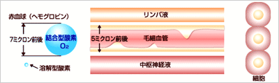 酸素カプセル