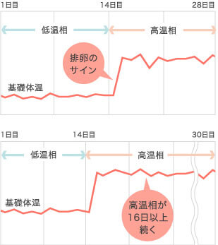 体温 高い 妊娠