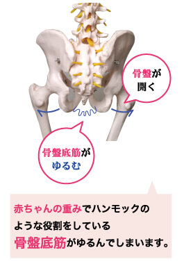 赤ちゃんの重みでハンモックのような役割をしている骨盤底筋がゆるんでしまいます。